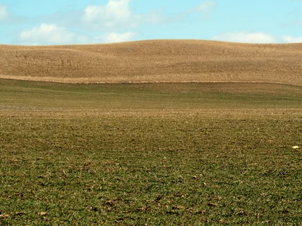 Land for sale in Isinya, Kajiado County