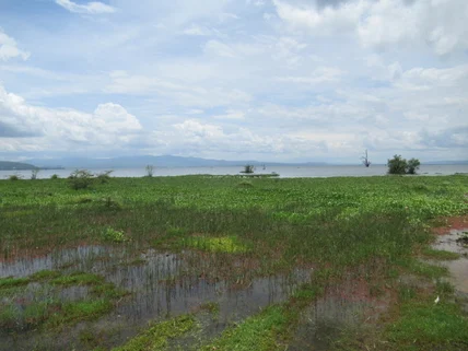 Land for sale in Naivasha, Nakuru County