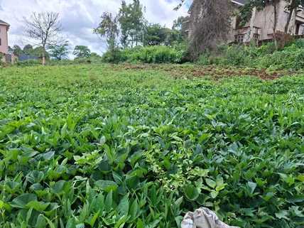 Land for sale in Runda, Westlands