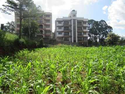Land for sale in Thindigua, Kiambu County