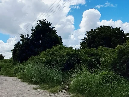 Land for sale in Malindi, Kilifi County