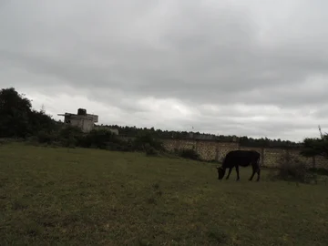 Thumbnail 12