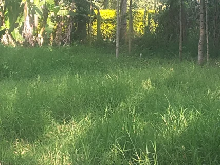 Land for sale in Ngong, Kajiado County