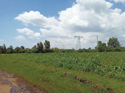 Land for sale in Naivasha, Nakuru County