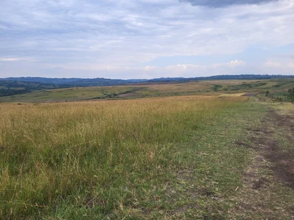Land for sale in Narok