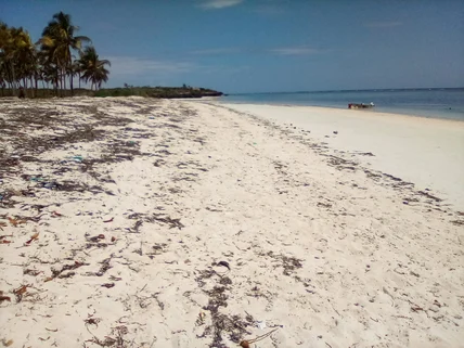 Land for sale in Kikambala, Kilifi County