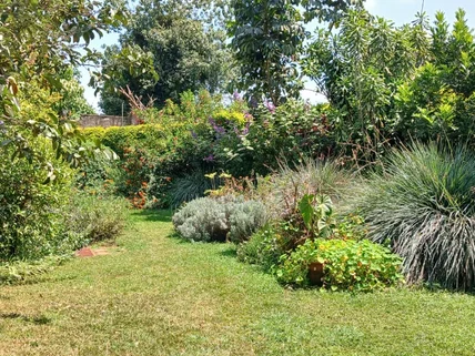 4-bedroom House for rent in Gigiri, Westlands