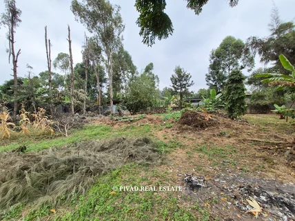 Land for sale in Garden Estate, Roysambu