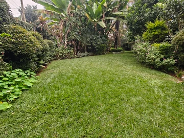 Thumbnail 19