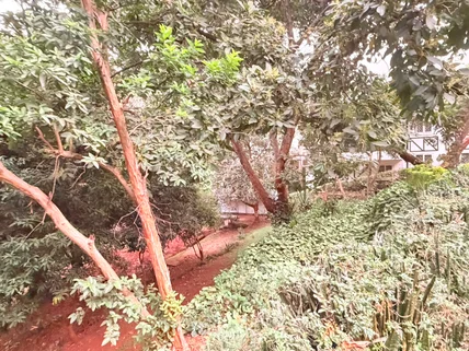 Commercial Property for sale in Spring Valley, Westlands