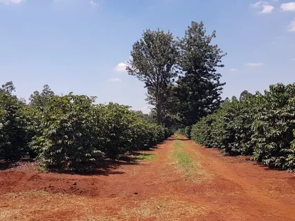 Land for sale in Juja, Kiambu County