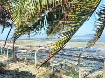 Thumbnail 16