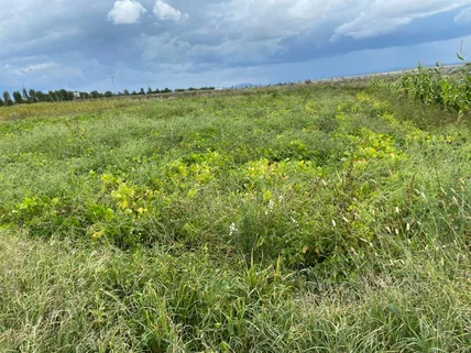 Commercial Land for sale in Isinya, Kajiado County
