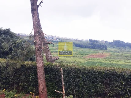 Land for sale in Tigoni, Limuru