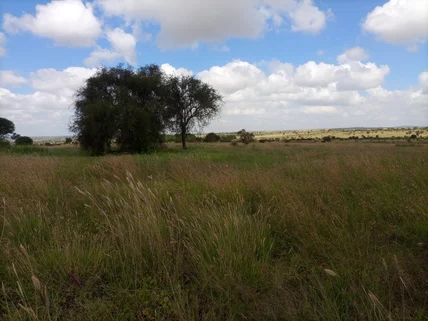 Land for sale in Machakos County