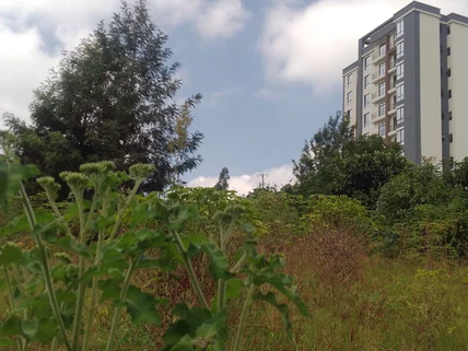 Land for sale in Ngong, Kajiado County