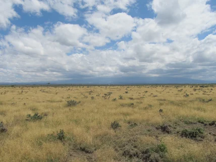 Land for sale in Nanyuki, Laikipia