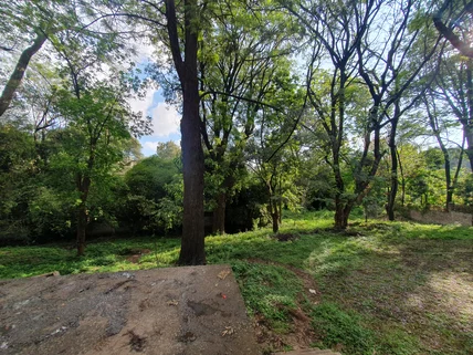 Land for sale in Muthaiga, Nairobi