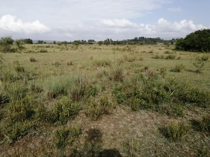 Land for sale in Nakuru, Nakuru County
