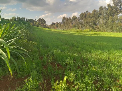 Land for sale in Meru
