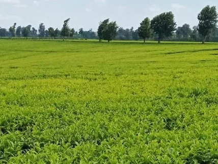 Residential Land for sale in Isinya, Kajiado County