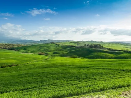 Land for sale in Garden Estate, Roysambu