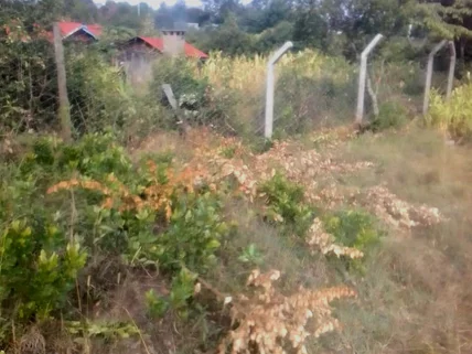 Land for sale in Nanyuki, Laikipia