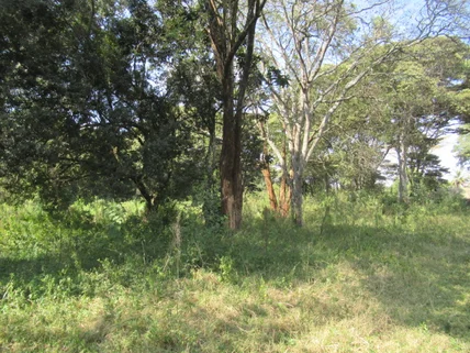 Land for sale in Karen Hardy, Nairobi
