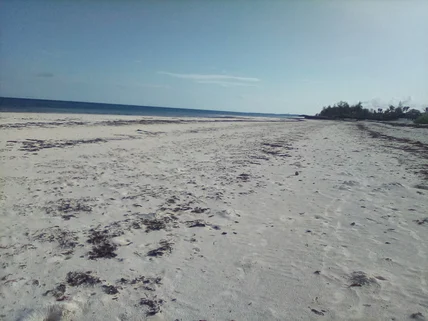 Land for sale in Bofa, Kilifi County