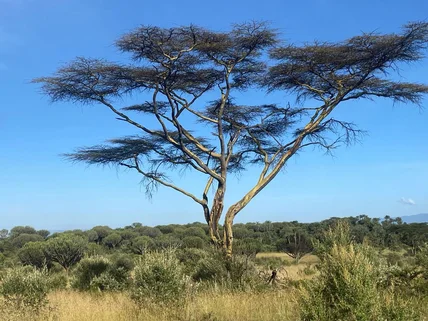 Commercial Land for sale in Naivasha, Nakuru County