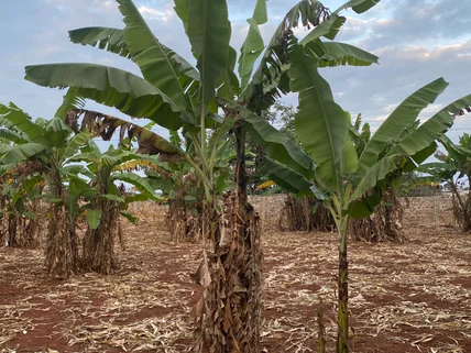 Land for sale in Thika, Kiambu County