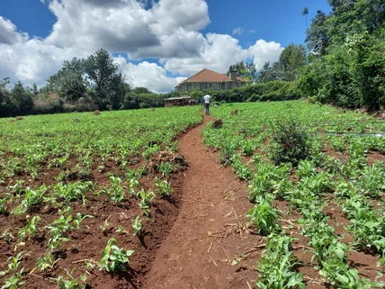 Residential Land for sale in Runda, Westlands