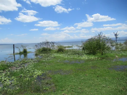 Land for sale in Naivasha, Nakuru County