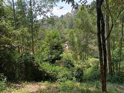 Land for sale in Kitisuru, Westlands