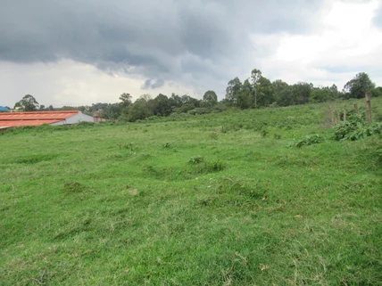 Land for sale in Kikuyu Town, Kikuyu
