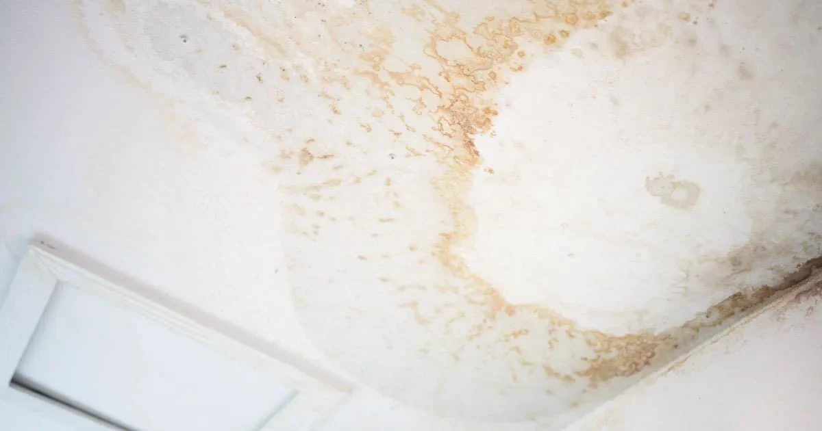 stained roof