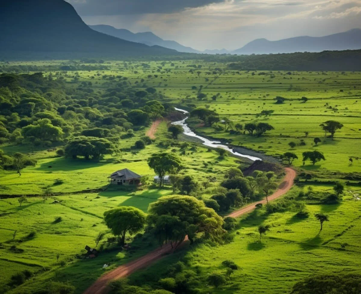 Land banking in Kenya - The benefits, advantages and disadvantages.