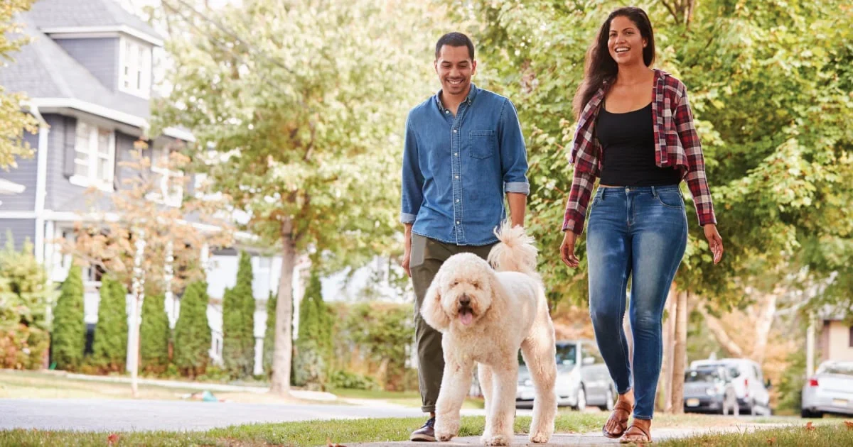 property location- walking in the neighbourhood