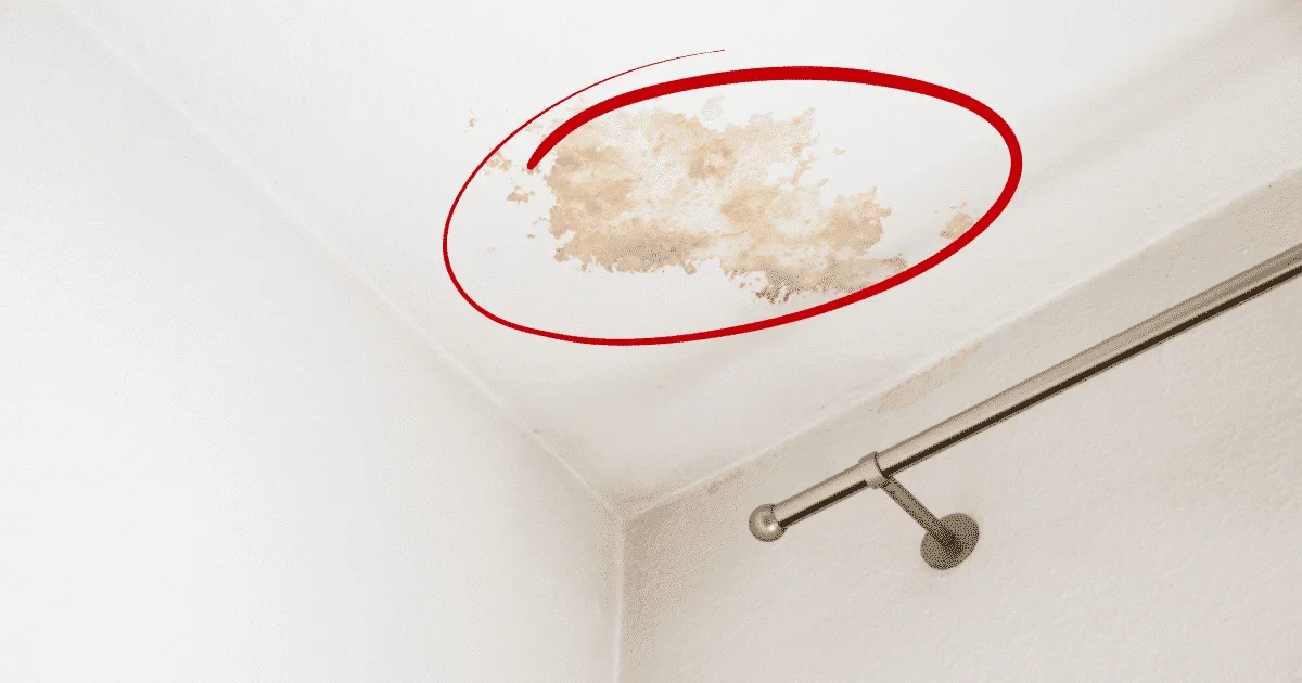 Full seller disclosure of leaking roof