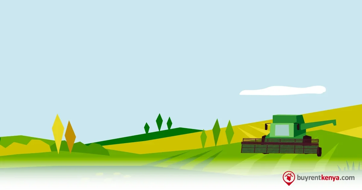 How to Subdivide Land in Kenya