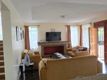 Thumbnail 14