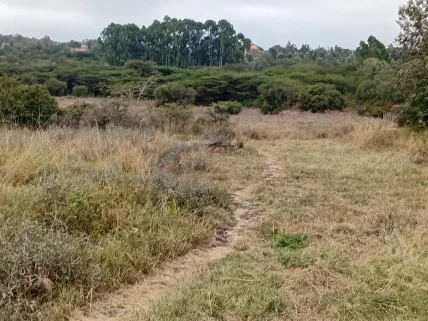 Land for sale in Kiserian, Kajiado County