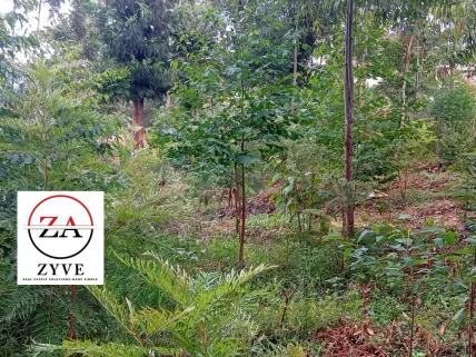 Residential Land in Banana, Muchatha and Banana - thumbnail 3