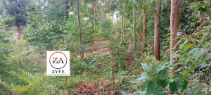 Residential Land in Banana, Muchatha and Banana - thumbnail 2