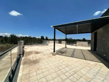 Thumbnail 17
