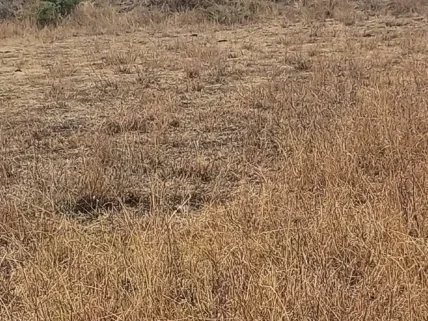 Residential Land for sale in Kitengela, Kajiado County