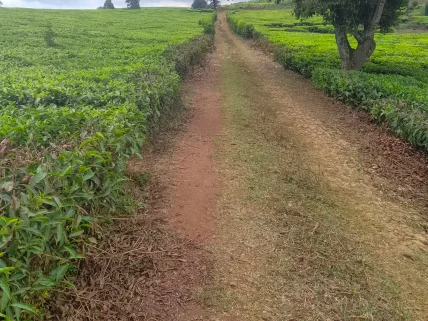 Residential Land for sale in Tigoni, Limuru