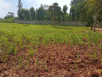 Residential Land for sale in Runda, Westlands