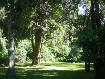 Residential Land for sale in Karen, Nairobi