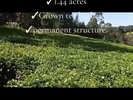 Land for sale in Kericho